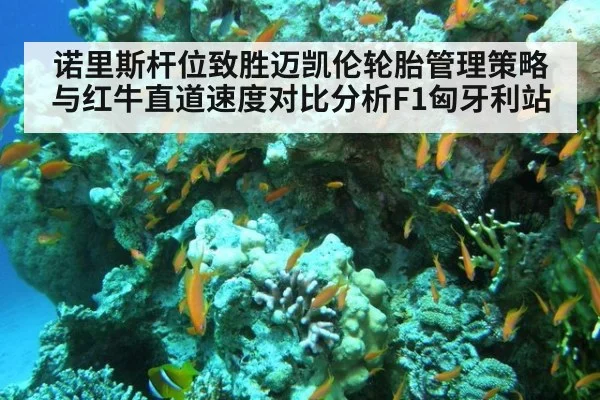 诺里斯杆位致胜迈凯伦轮胎管理策略与红牛直道速度对比分析F1匈牙利站