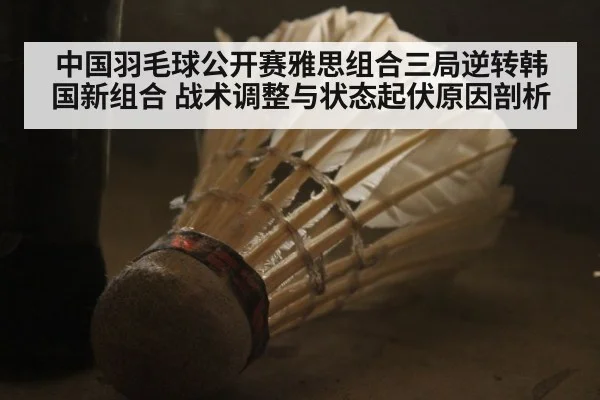 中国羽毛球公开赛雅思组合三局逆转韩国新组合 战术调整与状态起伏原因剖析